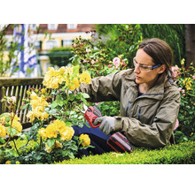 Eine Frau mit Schutzbrille und Handschuhen schneidet gelbe Rosen mit einer Einhell Akkumulator-Astschere im Garten.