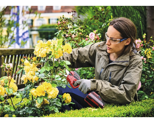 Eine Frau mit Schutzbrille und Handschuhen schneidet gelbe Rosen mit einer Einhell Akkumulator-Astschere im Garten.