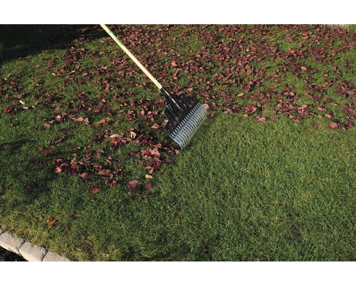 Laub wird mit einem Laubrechen vom Rasen entfernt.