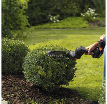 Husqvarna Akku-Strauchschere beim Formschneiden eines runden Buchsbaums in einem hellen Garten.