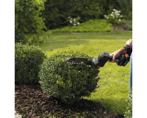 Husqvarna Akku-Strauchschere beim Formschneiden eines runden Buchsbaums in einem hellen Garten.