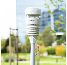 Ecowitt WS90 Wetterstation von Shelly, montiert auf einem Mast im Außenbereich.