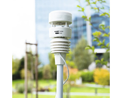 Ecowitt WS90 Wetterstation von Shelly, montiert auf einem Mast im Außenbereich.