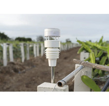 Netatmo Smarter Windmesser montiert auf einer Metallstange auf einem Feld mit Pflanzenreihen.