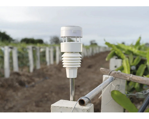 Netatmo Smarter Windmesser montiert auf einer Metallstange auf einem Feld mit Pflanzenreihen.
