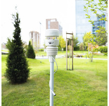 Ecowitt WS90 7 in 1 Wetterstation auf einer Stange in einem hellen, gepflegten Garten mit Rasen und Bäumen.