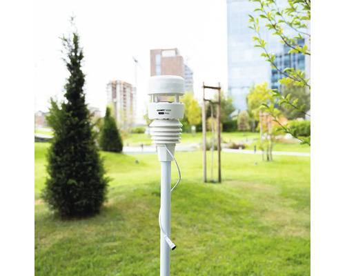 Ecowitt WS90 7 in 1 Wetterstation auf einer Stange in einem hellen, gepflegten Garten mit Rasen und Bäumen.