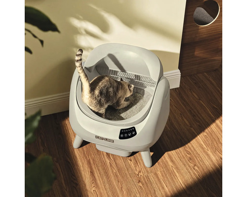 Selbstreinigende Catlink Katzentoilette auf Holzboden mit einer Katze in einem hellen Raum.