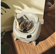 Selbstreinigende Catlink Katzentoilette auf Holzboden mit einer Katze in einem hellen Raum.