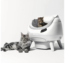 Selbstreinigende Katzentoilette mit CatLink Logo und zwei Katzen, eine im Inneren, eine daneben liegend, mit Bedienfeld und Füßen.