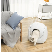 Weiße Katze verlässt eine moderne, selbstreinigende Katzentoilette in einem hellen Wohnraum mit Holzboden und Sessel.