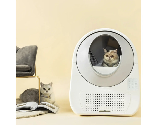 Weiße selbstreinigende automatische Katzentoilette mit einer Katze im Inneren und einer weiteren Katze daneben.