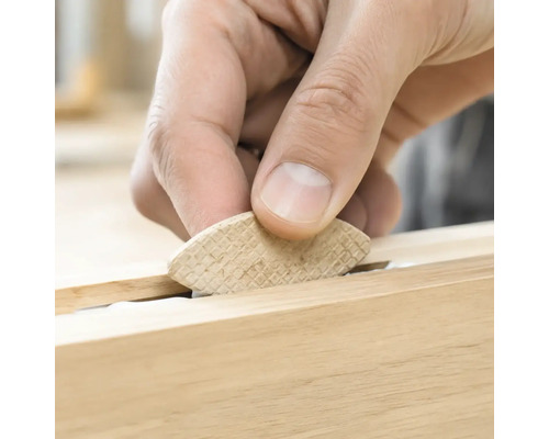 Hand setzt einen Flachdübel aus Holz zur Holzverbindung in eine Nut ein.