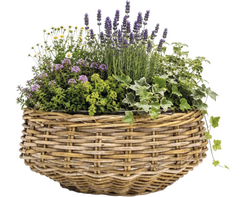 Pflanzkorb aus Weide bestückt mit Lavendel, Efeu und weiteren blühenden Pflanzen.
