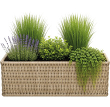 Rechteckiger Pflanzkasten aus Polyrattan-Geflecht mit Lavendel, Ziergras und hängenden Grünpflanzen.