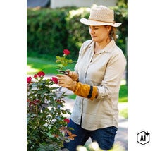 Eine Frau mit Gartenhandschuhen schneidet mit einer Gartenschere Rosen in einem Garten. (Image AI modified or generated)