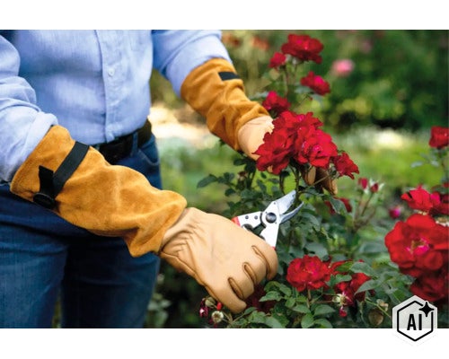 Person trägt Schutzhandschuhe mit langem Schaft beim Schneiden roter Rosen mit einer Gartenschere im Garten. (Image AI modified or generated)