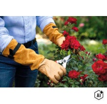 Person trägt Schutzhandschuhe mit langem Schaft beim Schneiden roter Rosen mit einer Gartenschere im Garten. (Image AI modified or generated)