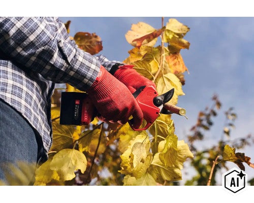 Eine Person mit Gartenhandschuhen verwendet eine Felco Akku Baumschere zum Schneiden eines Astes an einem Baum mit gelben Blättern. (Image AI modified or generated)