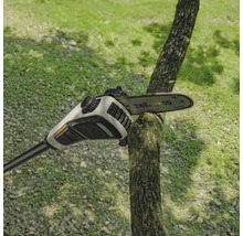 Einhell Akku-Hochentaster beim Schneiden eines Astes im Garten.