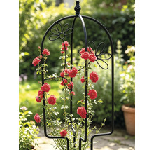 Rankhilfe Obelisk aus schwarzem Metall für Kletterpflanzen, mit dekorativen Blumenmotiven und runder Spitze.