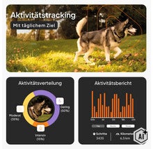 Infografik für Hundetracker mit Aktivitätstracking, Aktivitätsverteilung und Aktivitätsbericht inklusive Schritten und Kilometern. (Image AI modified or generated)