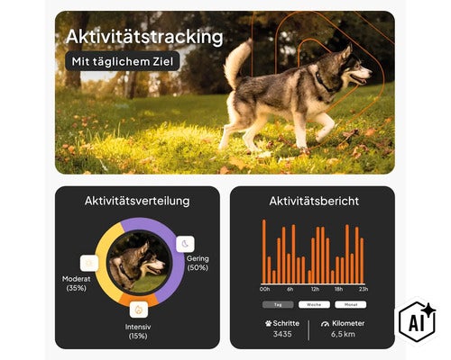 Infografik für Hundetracker mit Aktivitätstracking, Aktivitätsverteilung und Aktivitätsbericht inklusive Schritten und Kilometern. (Image AI modified or generated)