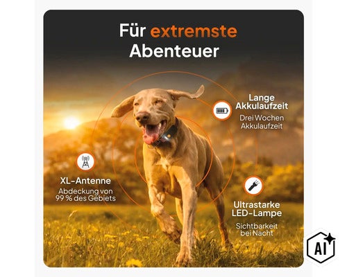 Hund mit GPS-Tracker-Halsband auf einer Wiese, mit Details zu XL-Antenne, langer Akkulaufzeit und LED-Lampe für extreme Abenteuer. (Image AI modified or generated)