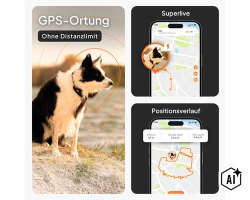 GPS-Tracker für Hunde mit App-Darstellung für Ortung ohne Distanzlimit, Live-Tracking und Positionsverlauf. (Image AI modified or generated)
