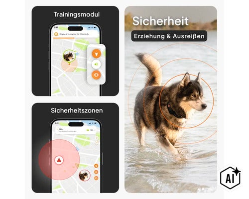 Infografik für einen GPS-Tracker für Hunde mit Funktionen wie Trainingsmodul, Sicherheitszonen und Ortung. (Image AI modified or generated)