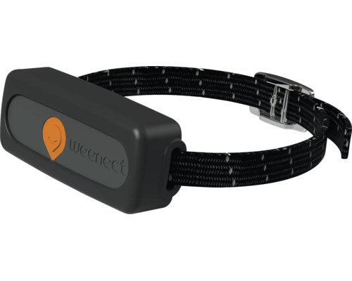 Weenect GPS-Tracker für Haustiere an einem gemusterten Halsband mit Schnalle.