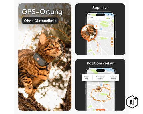 GPS-Tracker für Katzen mit Echtzeit-Ortung ohne Distanzlimit und Positionsverlauf über eine Smartphone-App. (Image AI modified or generated)
