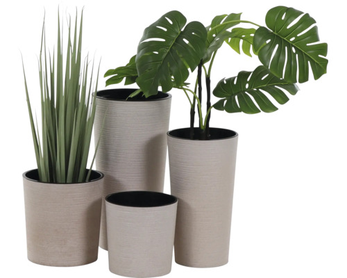 Set aus vier runden Pflanztöpfen in verschiedenen Größen mit strukturierter beiger Oberfläche, bestückt mit einer Monstera und grünem Ziergras.