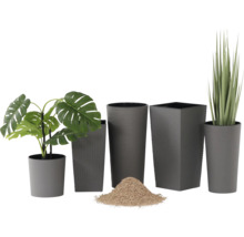 Graue Blumentöpfe in verschiedenen Größen und Formen, rund und quadratisch, mit Monstera, Ziergras und Pflanzsubstrat.