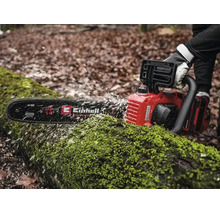 Einhell Kettensäge sägt einen moosbedeckten Baumstamm im Wald, Sägespäne fliegen, 35 Zentimeter Schwertlänge.