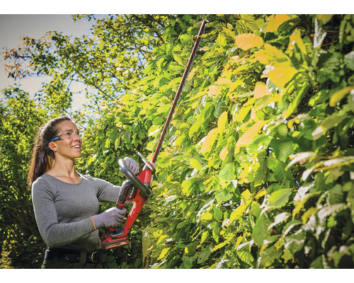 Eine Frau schneidet mit einer Akku-Stab-Heckenschere eine hohe, grüne Hecke im Garten. Sie trägt Schutzbrille und Handschuhe.