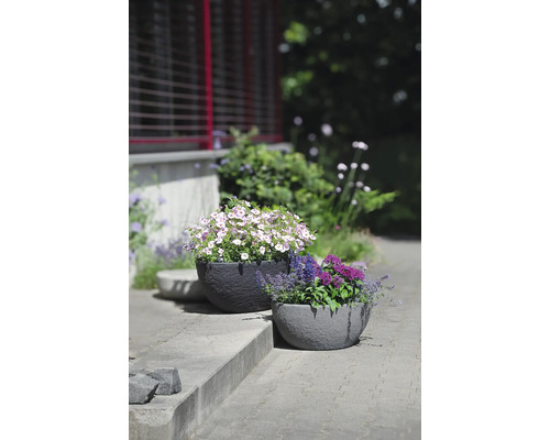 Zwei runde Pflanzschalen in Steinoptik, bepflanzt mit bunten Blumen im Garten.