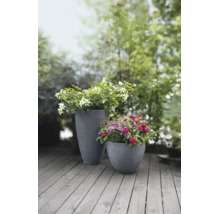 Zwei graue, gerillte Pflanzkübel mit blühenden Blumen auf einer Holzterrasse im Garten.