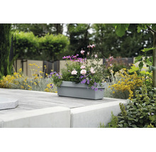 Bepflanzter grauer Blumenkasten auf einer gepflasterten Terrasse im Garten.