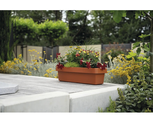 Rechteckiger Blumenkasten bepflanzt mit bunten Blumen auf einer gepflasterten Terrasse im Garten.
