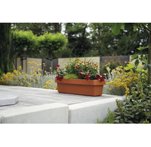 Ein terrakottafarbener, rechteckiger Balkonkasten, bepflanzt mit bunten Blumen, steht auf einer gepflasterten Garten-Terrasse.