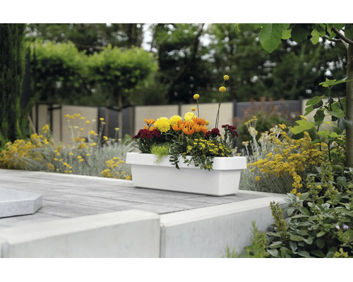 Weißer Balkonkasten bepflanzt mit bunten Blumen auf einer Terrasse im Garten.