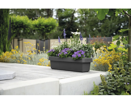 Rechteckiger Balkonkasten mit violetten und weißen Blumen auf einer bepflanzten Terrasse im Garten.