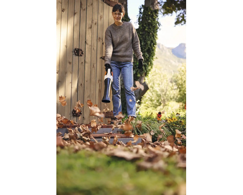 Eine Person verwendet einen Laubbläser, um Herbstlaub vor einem Holzschuppen im Garten zu entfernen.
