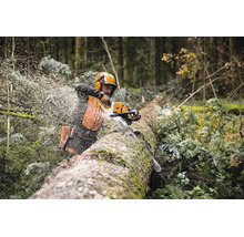 Forstarbeiter verwendet eine Stihl Motorsäge bei der Arbeit an einem liegenden Baumstamm im Wald mit vollständiger Schutzausrüstung.