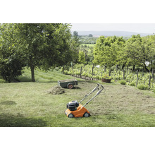 Ein Benzin Rasenlüfter steht auf einer gemähten Rasenfläche in einem Garten mit Bäumen und Weinreben im Hintergrund.