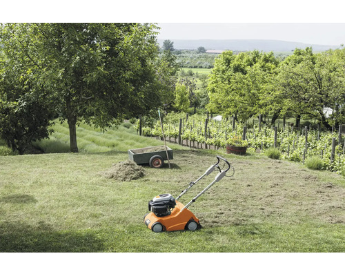 Ein Benzin Rasenlüfter steht auf einer gemähten Rasenfläche in einem Garten mit Bäumen und Weinreben im Hintergrund.