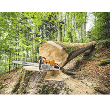 Eine Stihl Motorsäge liegt auf einem großen Baumstumpf im Wald neben einem gefällten Baumstamm.