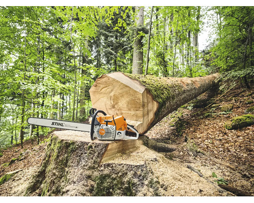 Eine Stihl Motorsäge liegt auf einem großen Baumstumpf im Wald neben einem gefällten Baumstamm.