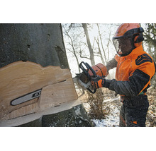 Forstwirt mit Stihl Motorsäge und Schutzausrüstung beim Fällen eines Baumes im Wald.